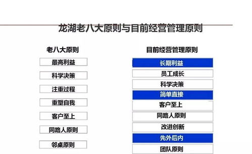 龙湖企业管理的精益之道 运营精细化管理提升企业核心竞争力